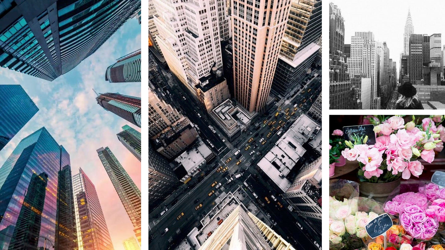 Aerangis No. 212 Concrete Jungle - Facette Gallery