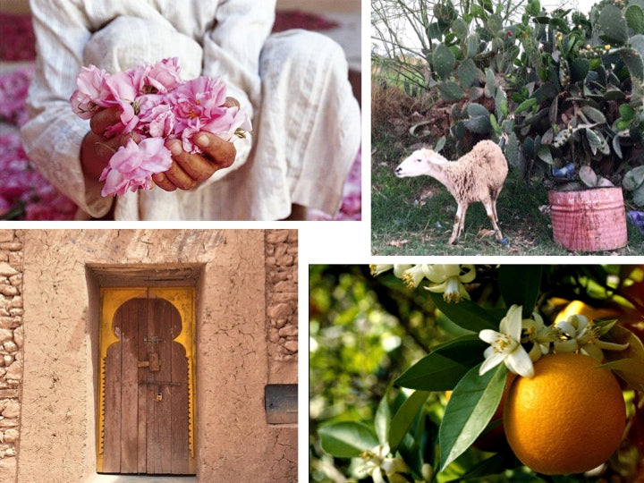 Aerangis No. 26 Lost in the Souk - Facette Gallery