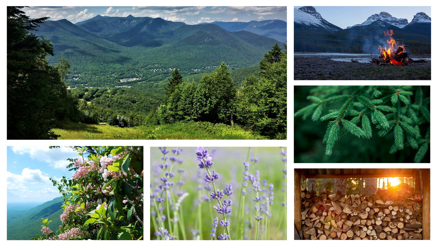 Aerangis No. 32 Loon Mountain - Facette Gallery