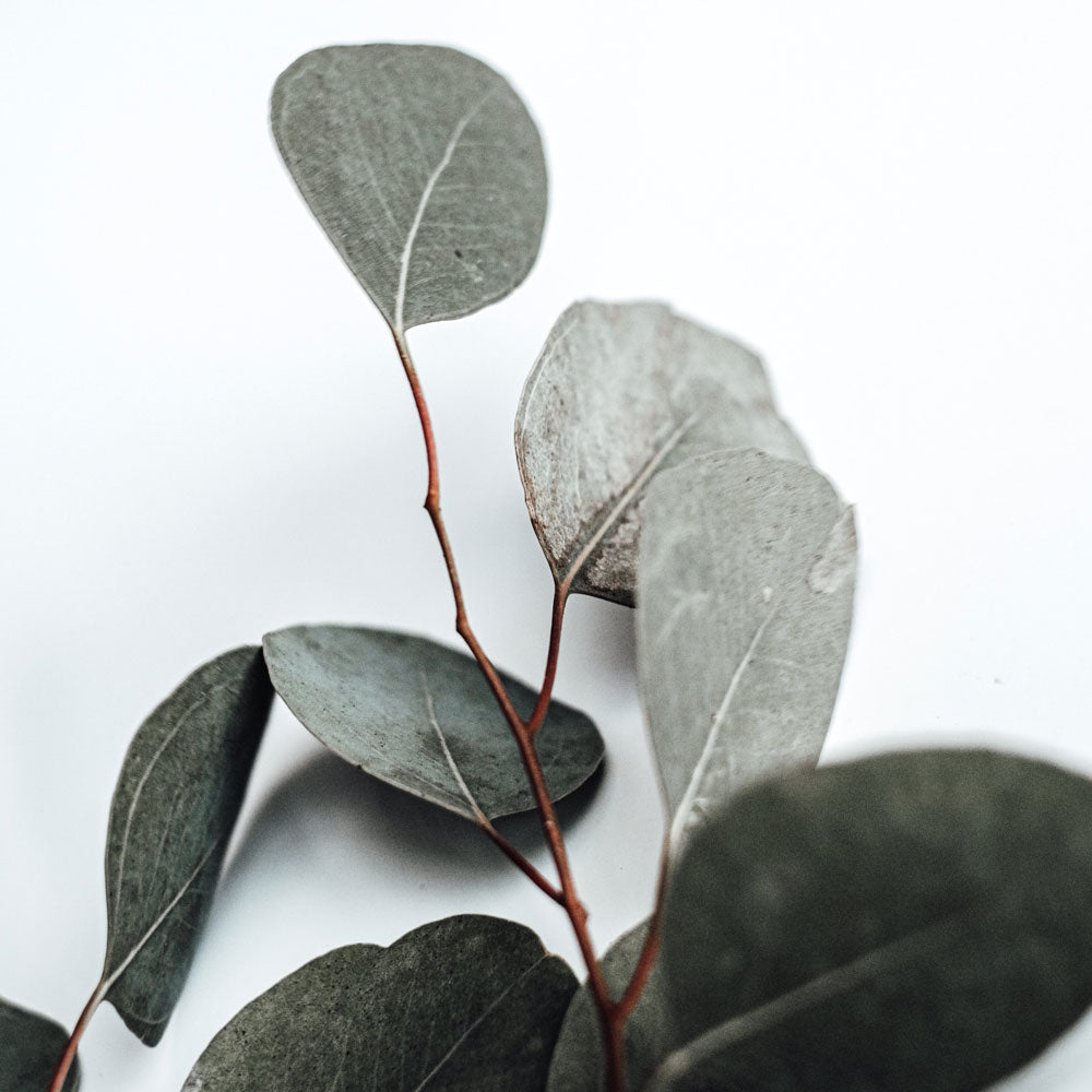 Natural Eucalyptus Stone Face Candle 27oz - Facette Gallery