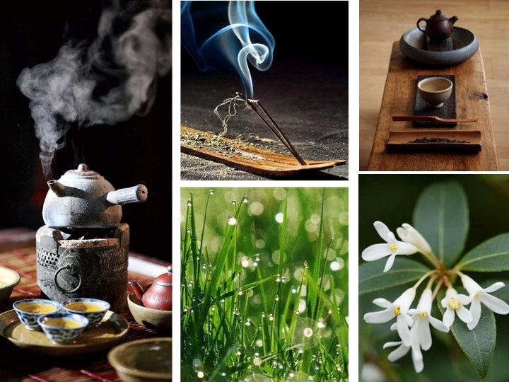 Collage of steaming ceramic teapot with cups, burning incense stick, wooden tea set, dewy grass, and white jasmine flowers.